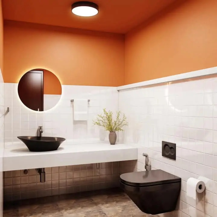 Accessible Bathroom Remodeling in arvada